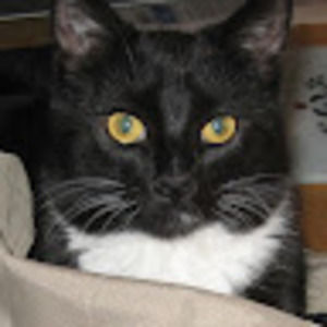 Meet your Posher, Finola